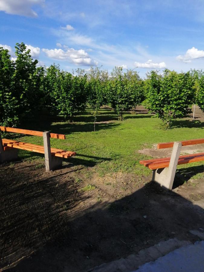 Appartamento Apartman Fiva Pacir Esterno foto